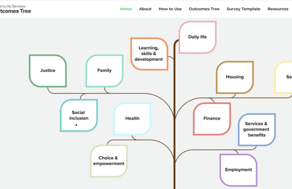 Community Services Outcomes Community Services Outcomes